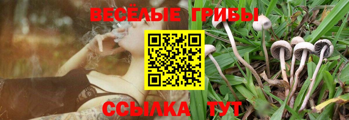 Галлюциногенные грибы GOLDEN TEACHER Нефтекамск